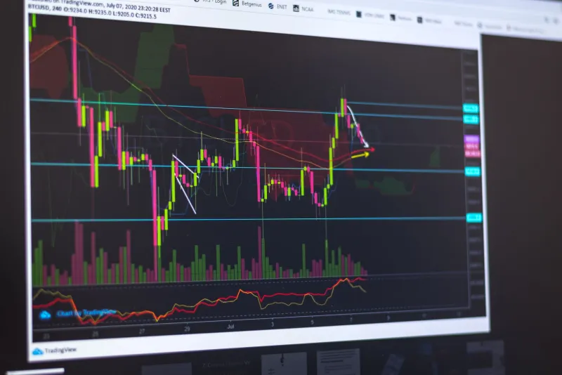 Separating Signal from Noise: A Framework for Identifying Cryptocurrencies Built to Endure Market Collapses